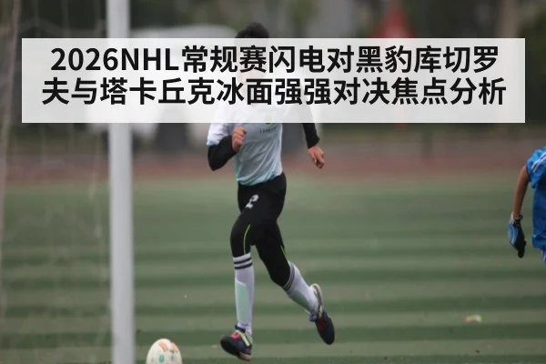 2026NHL常规赛闪电对黑豹库切罗夫与塔卡丘克冰面强强对决焦点分析